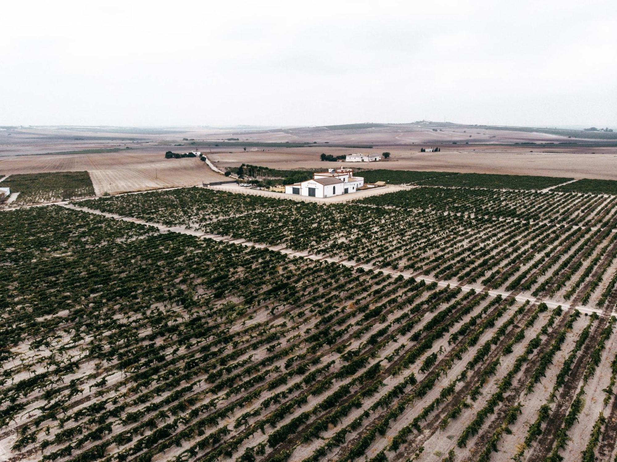 La Bendita Locura El Puerto de Santa María Buitenkant foto